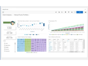 infor enterprise financial management analysis