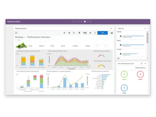 infor enterprise financial management overview