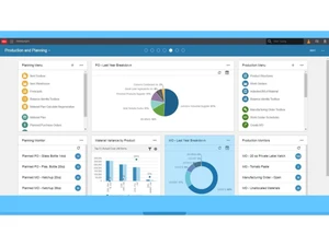 infor enterprise financial management planning