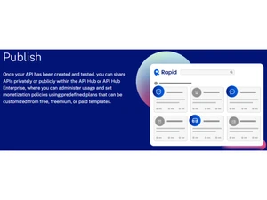 Rapid API Publish
