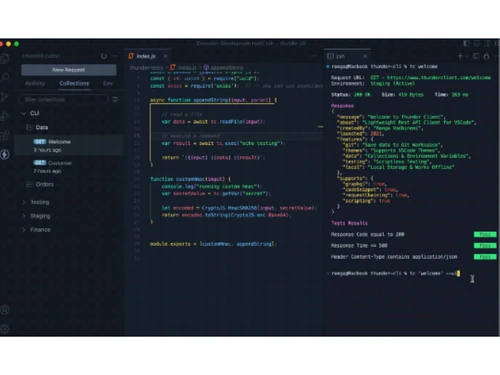 Thunder Client API Testing