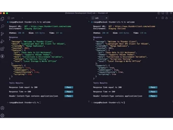 Thunder Client Scalability