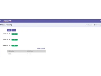 PetaSAN NUMA Pinning