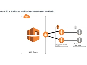 AWS Direct Connection Development workloads