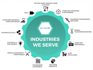 zed asset management