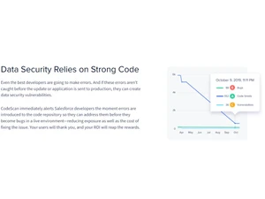 CodeScan Data security