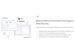 CodeScanReduce manual process