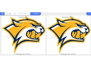 Vectorizer AI Console