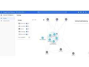 Network Intelligence Center Topology