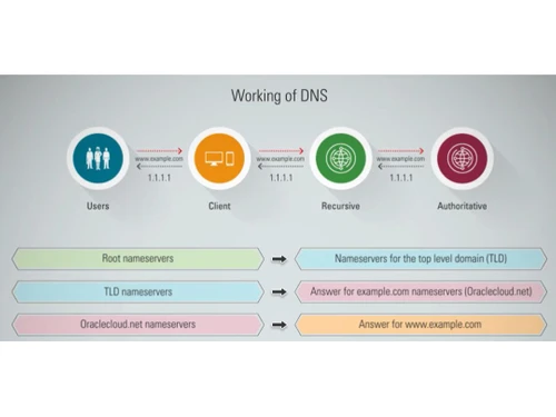 OCI Domain Name System DNS Working