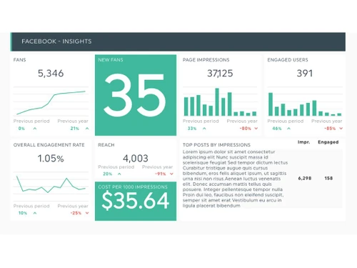 DashThis Social Insights