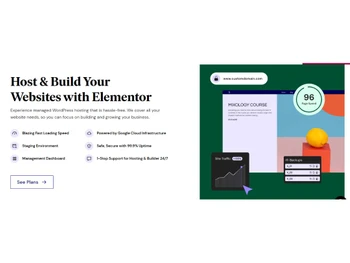 Elementor Website Builder