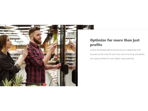 Revionics Price optimization