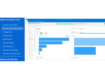 SAS-Viya Information assets