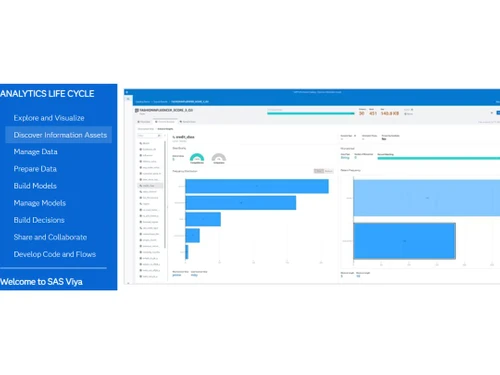 SAS-Viya Information assets