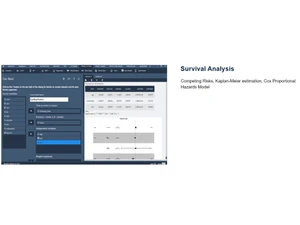 BlueSky Statistics Analysis