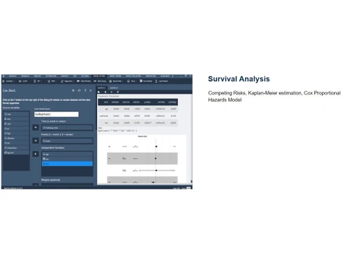 BlueSky Statistics Analysis