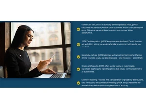 Lumivero Risk Simulation