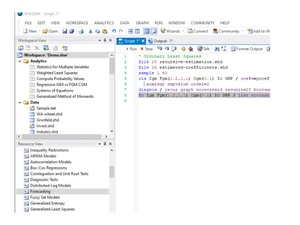 SHAZAM Econometrics Software Workspace