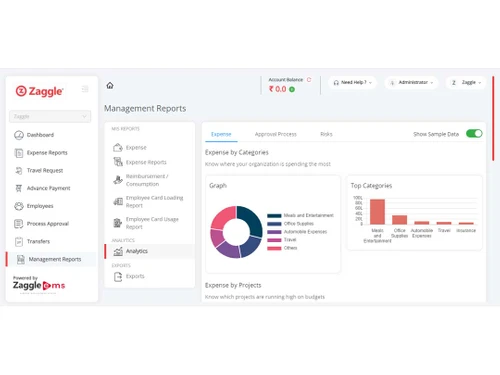 zaggleems management report