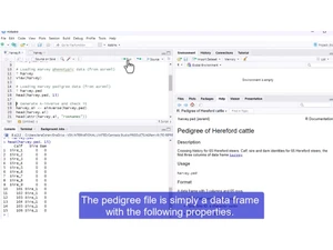 ASReml-SA Data frame
