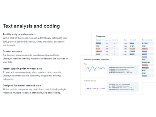 Displayr Text analysis