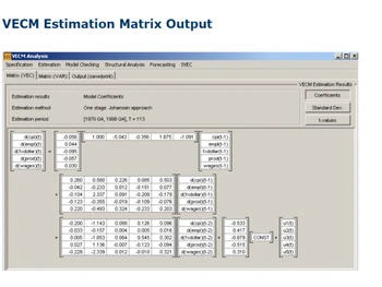JMulTi Estimation matrix