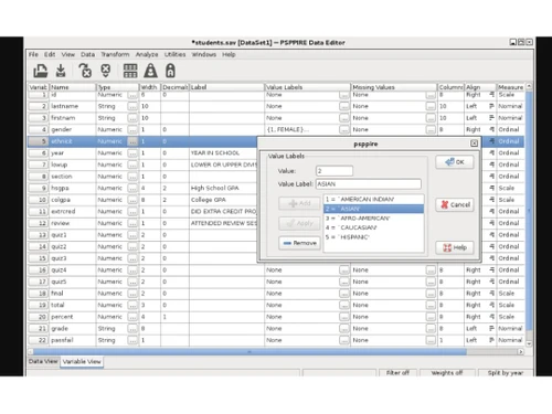 PSPP Data editor