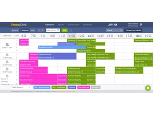 BananaDesk Dashboard