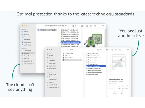 Cryptomator Protection