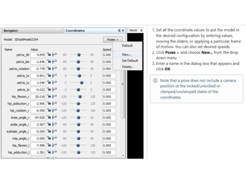 OpenSim Coordinate window