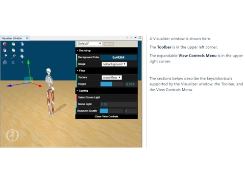 OpenSim Visualizer window