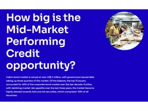 Vivriti Asset Management Performing