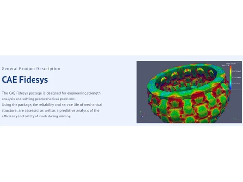 CAE Fidesys Description