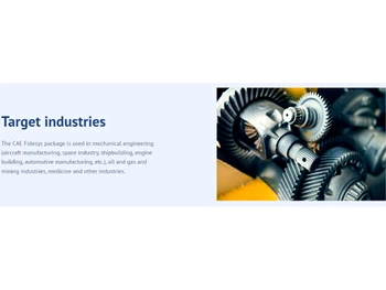 CAE Fidesys Target industries