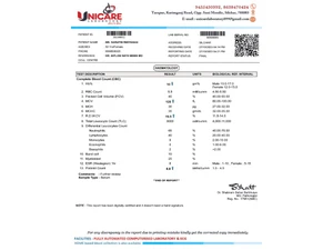Integer Solution LabEase Report example