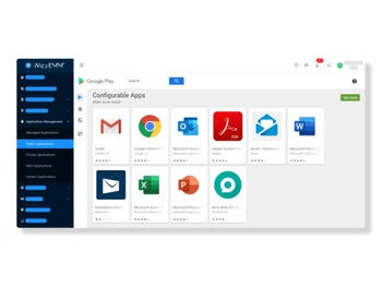 WizyEMM Configurations
