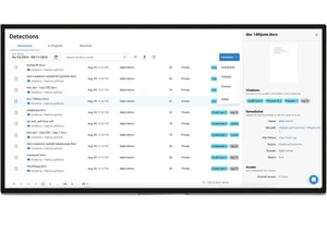 Barracuda Data Inspector detections