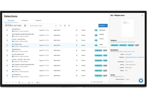 Barracuda Data Inspector detections