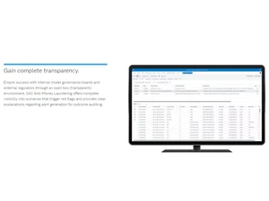 SAS AML Transparency