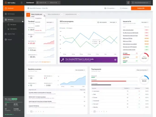 SEO Site Checkup Dashboard