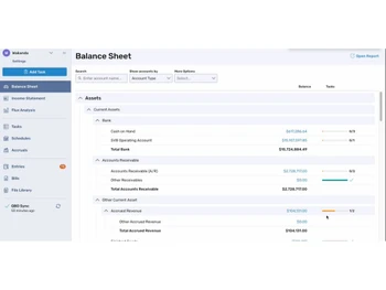 Avise Balance sheet