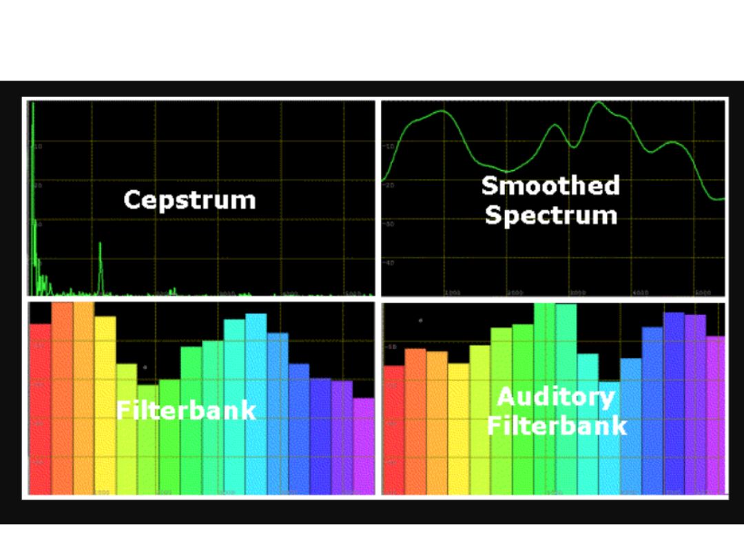 RTSPECT Cepstrum