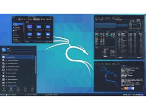 Kali Linux Plasma