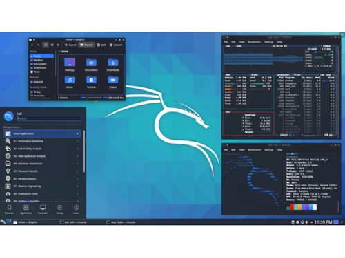 Kali Linux Plasma