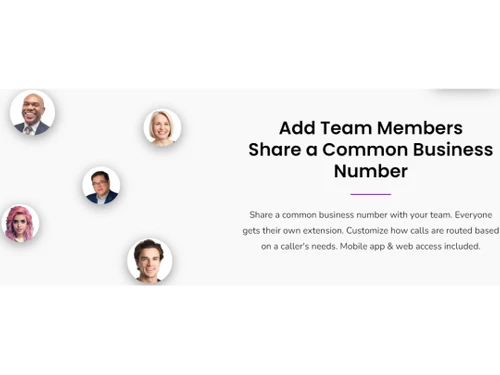 LinkedPhone Common Number