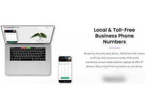 LinkedPhone VoIP