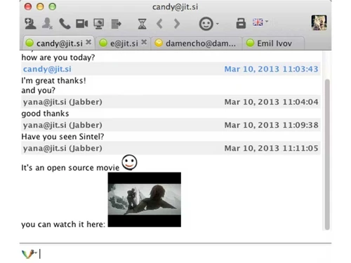 jitsi features