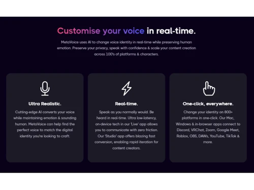 MetaVoice Customise