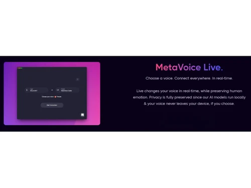 MetaVoice Live